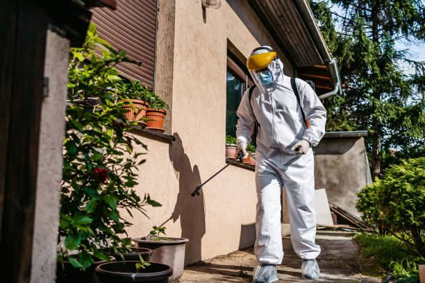 Best Exterminator Services  in North Lima, OH