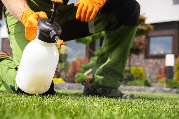 Best Pest Inspection Near Me  in North Lima, OH