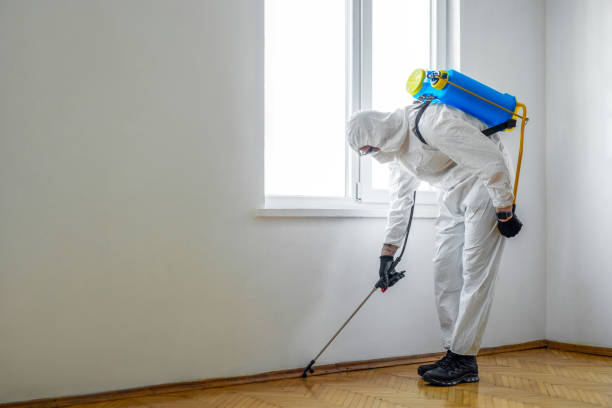 Best Exterminator Services  in North Lima, OH