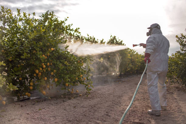 Best Pest Control for Restaurants  in North Lima, OH