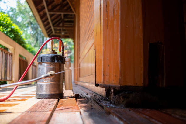 Best Pest Removal Services  in North Lima, OH