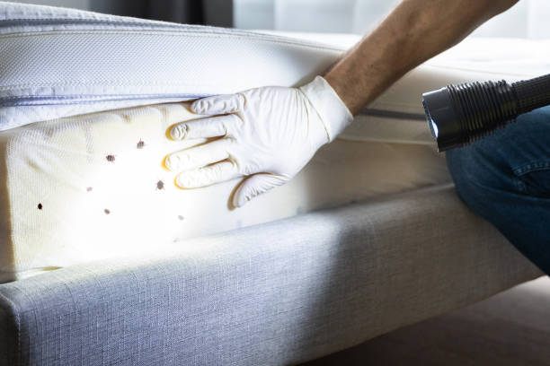 Pest Prevention Services in North Lima, OH