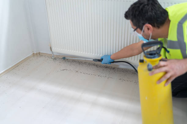 Best Commercial Pest Control Services  in North Lima, OH
